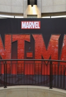 attends the world premiere of Marvel's "Ant-Man" at The Dolby Theatre on June 29, 2015 in Los Angeles, California.