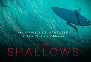 the shallows review