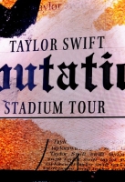 taylor-swift-reputation-tour-189