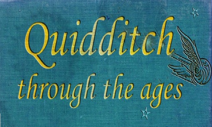 Harry Potter Quidditch Movie Planned