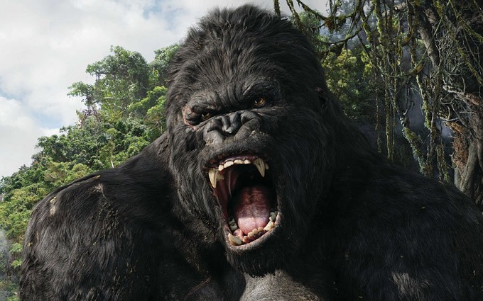 New King Kong Movie Announced
