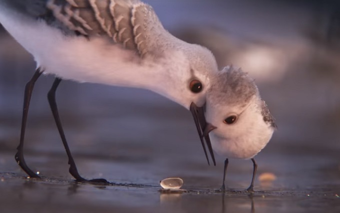 Pixar Teases Latest Short Piper