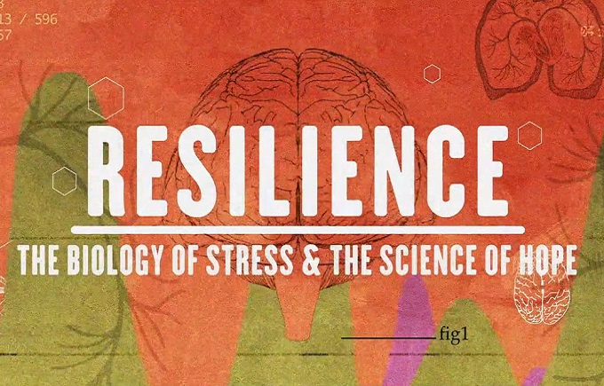 Resilience Review